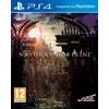 Image de Natural Doctrine PS4 en occasion ou reconditionné