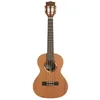 Image de Kala KA-ASCP-T-CASE - Solid Cedar Top Pau Ferro, ukulélé Ténor, livré avec étui