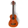 Image de U-BASS Nomad