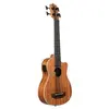 Image de U-Bass Scout