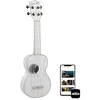 Image de Waterman Frosted Glass Transparent Soprano