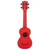 Image de Waterman Maritime Red Transparent Soprano