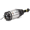 Image de ARNOTT Jambe de suspension pneumatique AS-2762