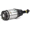 Image de ARNOTT Jambe de suspension pneumatique AS-2534