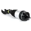 Image de ARNOTT Jambe de suspension pneumatique AS-3236