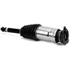 Image de ARNOTT Jambe de suspension pneumatique AS-3381 Compatible avec: TESLA MODEL S