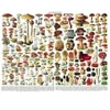 Image de New York Puzzle Company Mushrooms - Champignons