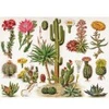 Image de New York Puzzle Company Cacti - Cactus