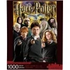 Image de Aquarius Collage Harry Potter