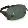 Image de Osprey Transporter Waist Pack Pine Leaf/Earl Grey