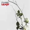 Image de Sanju