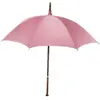 Image de The Noble Collection Harry Potter Rubeus Hagrid Umbrella Wand in Collectors Box by