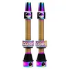 Image de Cushcore Presta Tubeless Valves 44 mm