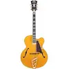 Image de Excel EXL-1 Amber