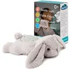 Image de Cloud b Peluche veilleuse nomade Dream Buddies   Benny le Lapin | Projecteur d’étoiles | 3 Couleurs | Dès la naissance | Minuteur, noir