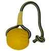 Image de EVERLASTING Jouet pour Chien Swing N Fling 8 X 6 X 28 cm