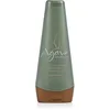 Image de Agave Healing Oil Shampooing Lissant 250 ml