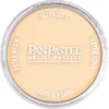 Image de PanPastel - Peinture Pastel pour Artiste Orange Teinte