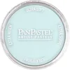 Image de Armadillo Art and Craft 9ml PanPastel Ultra Soft Artist Pastel, Turquoise Tint (japan import)