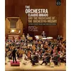 Image de L'orchestre - Blu ray en occasion ou reconditionné
