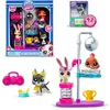 Image de Littlest Pet Shop - Pack de Jeu Disco Nights