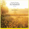 Image de Hot Wheels Méga Transporteur, Camion pour Transporter jusqu'à 50 Petites Voitures, Jouet pour Enfant, GHR48