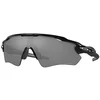 Image de OAKLEY Lunettes de soleil pour hommes Radar® EV Path® noir