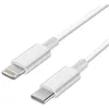 Image de Câble Lightning vers USB-C Apple 2 m en occasion ou reconditionné