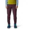 Image de Mountain Hardwear Women's Dynama Ankle Pant, BlackBerry