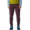 Image de Mountain Hardwear Women's Dynama Ankle Pant, BlackBerry