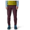 Image de Mountain Hardwear Women's Dynama Ankle Pant, BlackBerry
