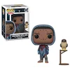 Image de Funko - Games: DestinyHawthorne avec HawkFigurine,30106