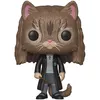 Image de Figurine Funko Pop Saison 5 Hermione As Cat en occasion ou reconditionné