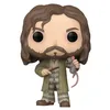 Image de Funko Pop ! Harry Potter : Prisonnier d'Azkaban   Sirius Noir avec Queue de ver (BoxLunch Exclusive), 76708