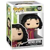 Image de Funko Raiponce Vilains - Mère Gothel Pop! n°1520 Unisexe Pop! Multicolore Vinyle