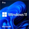 Image de Windows 11 Pro, Logiciel