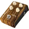 Image de LR Baggs Align Series Session